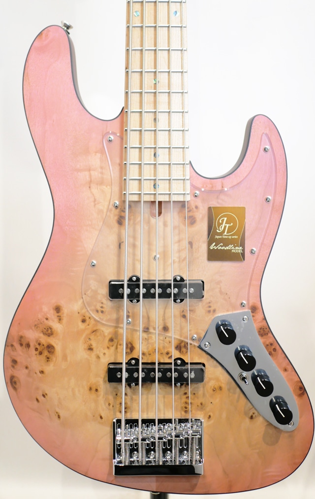 Japan Tune-up series