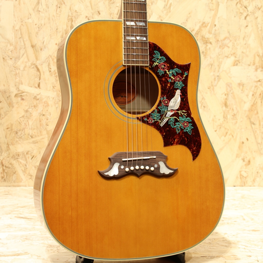 Inspired by Gibson Custom 1963 Dove Reissue NAT: アコースティック