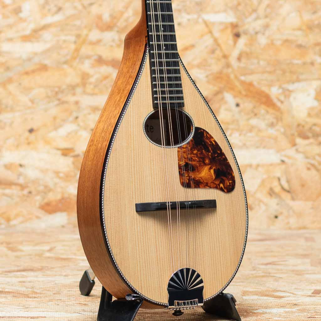 Flat Mandolin（フラットマンドリン）一覧 | | 三木楽器公式通販サイト