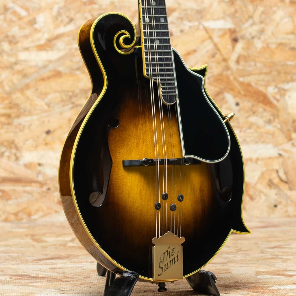 Mandolin（マンドリン）一覧 | | 三木楽器公式通販サイト(並び順：安い