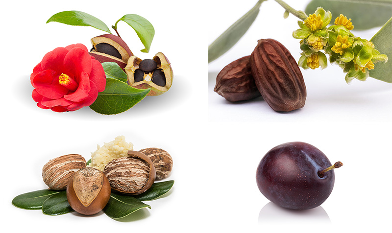 新商品のご案内ですミキ トリートメントヘアカラー - ミキプルーン