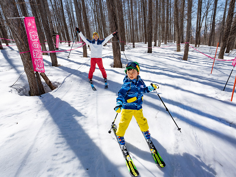 コース紹介｜水上高原スキーリゾート＜公式＞家族で楽しめる群馬のスキー場