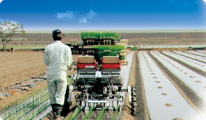 みのるポット成苗移植システム | みのる産業株式会社