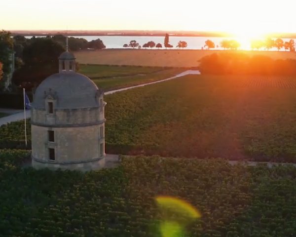 レ フォール ド ラトゥール メドック格付け1級セカンドの通信販売