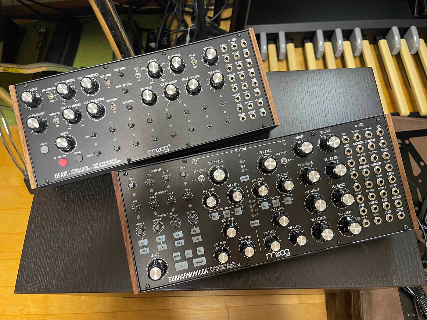 Moog Sound Studio開封レビュー＆演奏動画！ by村上 | Rock oN Company