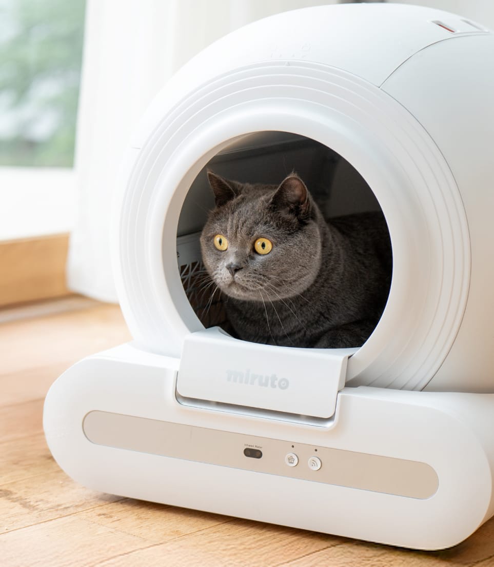 全自動スマートトイレ(猫用) | miruto公式