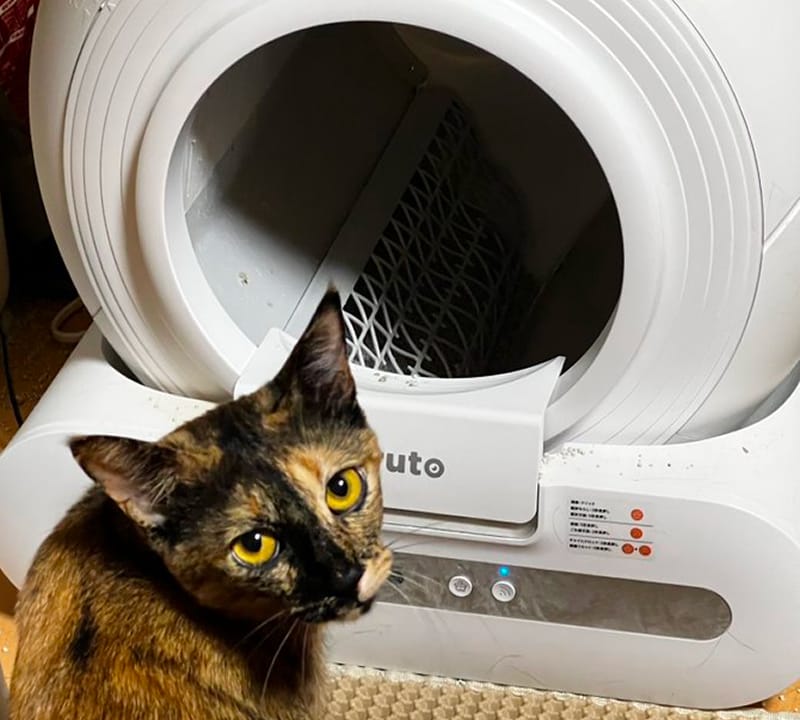 全自動スマートトイレ(Coco) 購入ページ | miruto公式