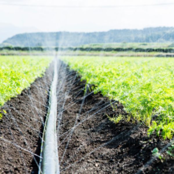 スミレイン40(40mm×55m): 農業資材