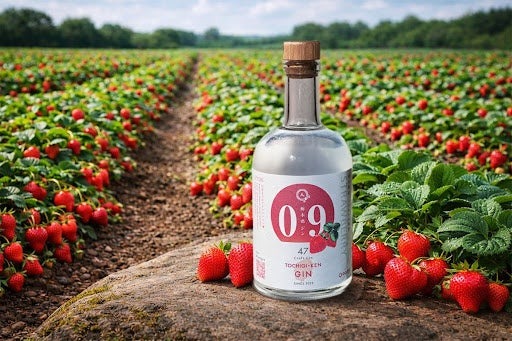 読書や創作の時間に寄り添う味わい！】クラフトジン「ZINE GIN」が販売