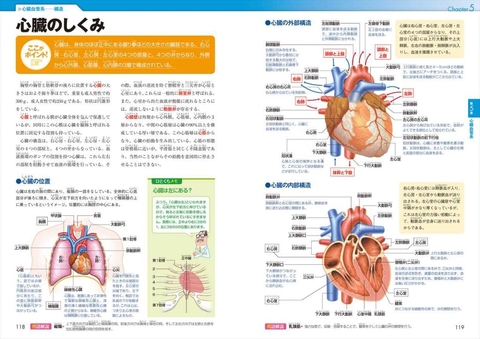 これでわかる！人体解剖パーフェクト事典 | ナツメ社