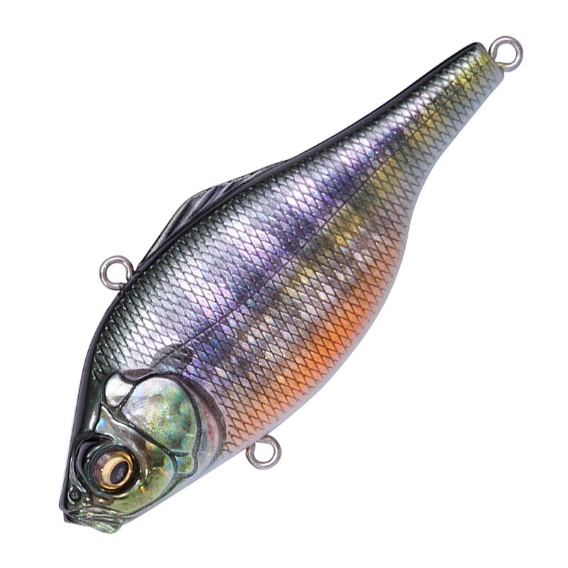 534_1_800.jpg?20240718180949