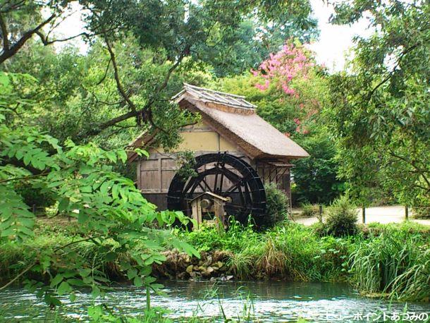 百日紅と水車小屋 - 安曇野の風景写真 ビューポイントあづみの