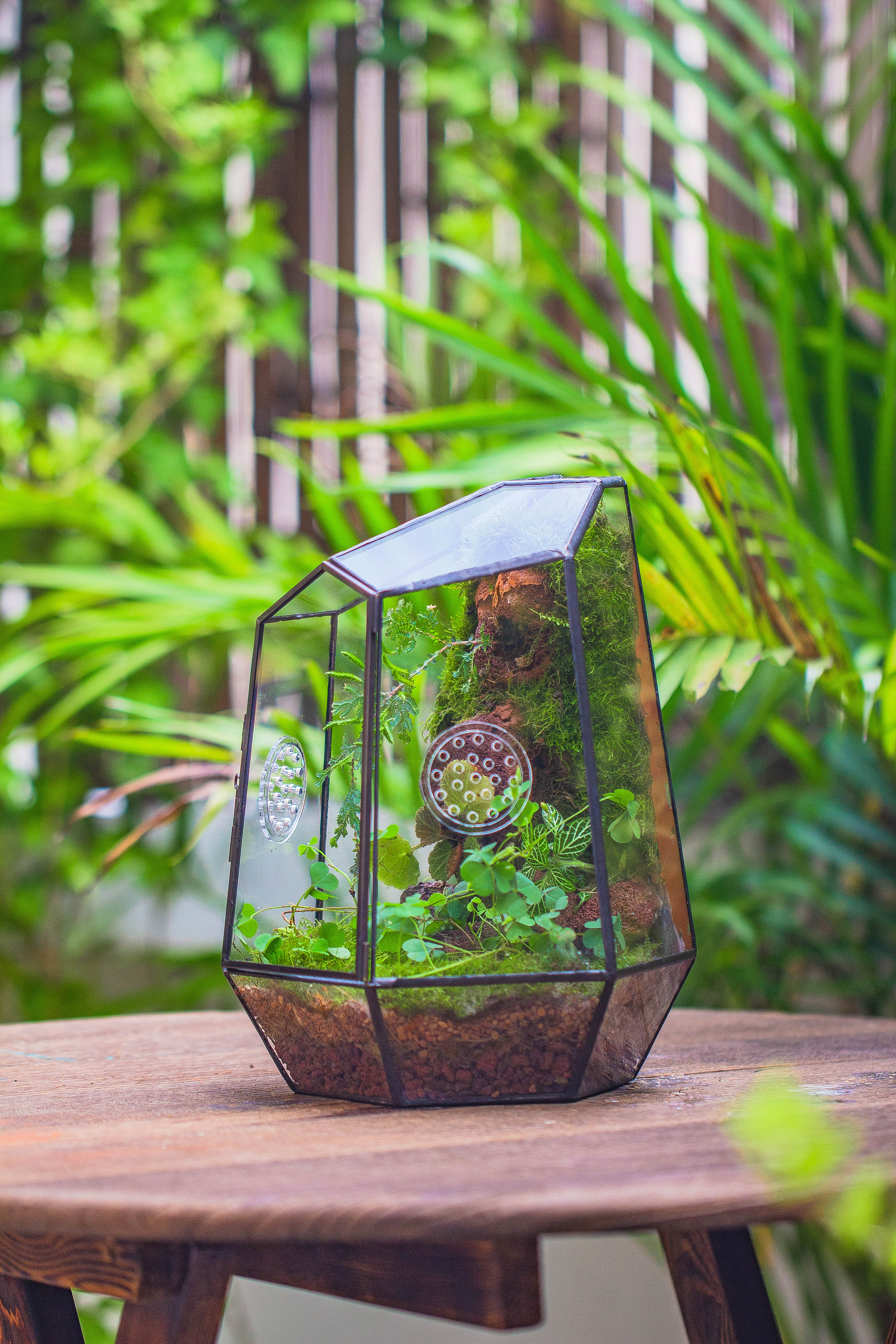 NCYP Close Geometric Tin Glass Terrarium with Door, Vent, Insect