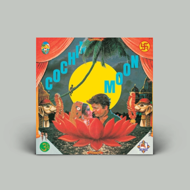細野晴臣＋横尾忠則 - Cochin Moon（2nd Press） | NEWTONE RECORDS