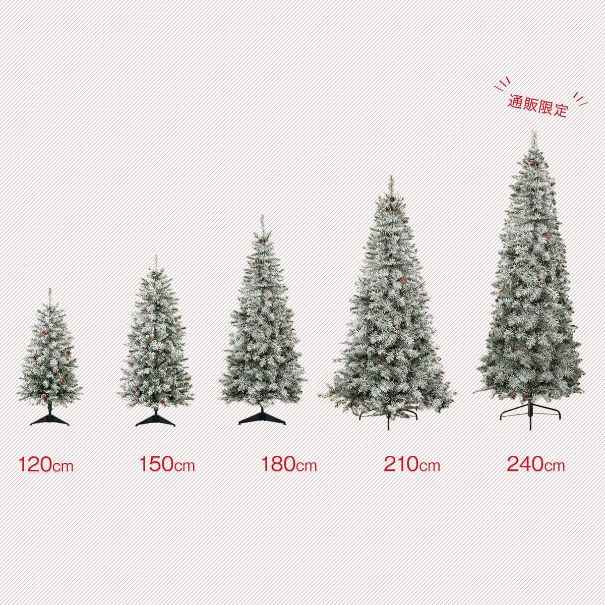 ヌードツリー(180cm スノー n2GS) | ニトリネット【公式】 家具