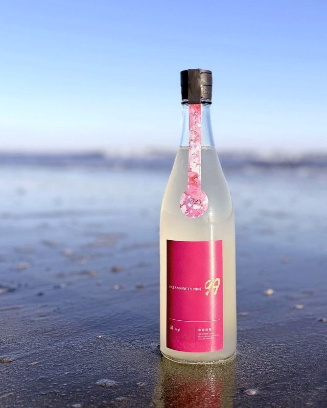 寒菊 Ocean99 凪-Spring Misty 2026