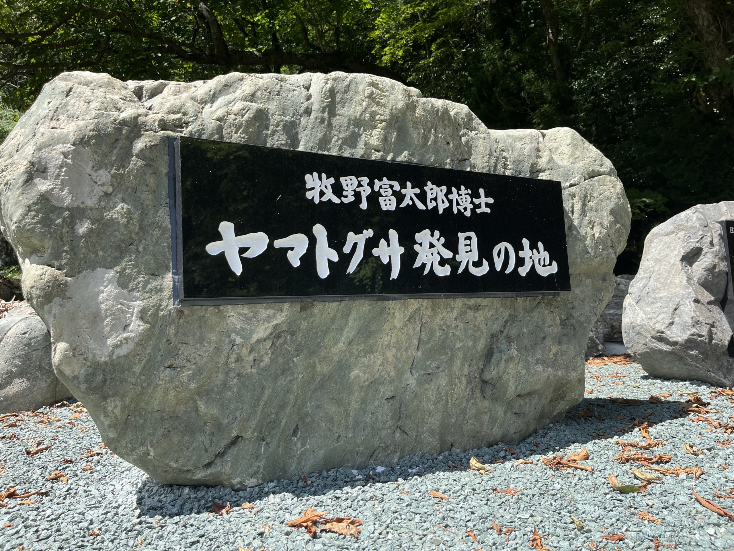 牧野富太郎博士ヤマトグサ発見の地 | によどがわ.TV｜高知県 仁淀川町