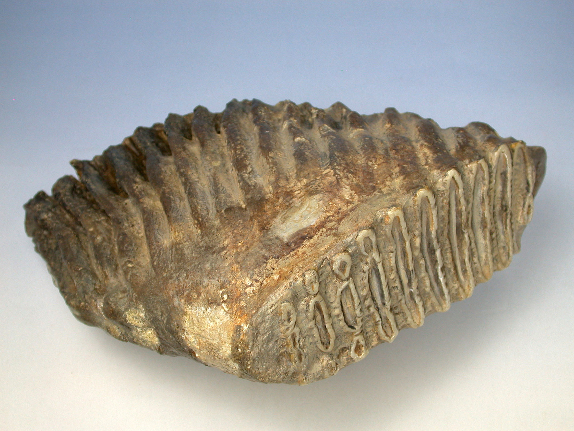 株式会社ニチカ 地質科学の専門商社