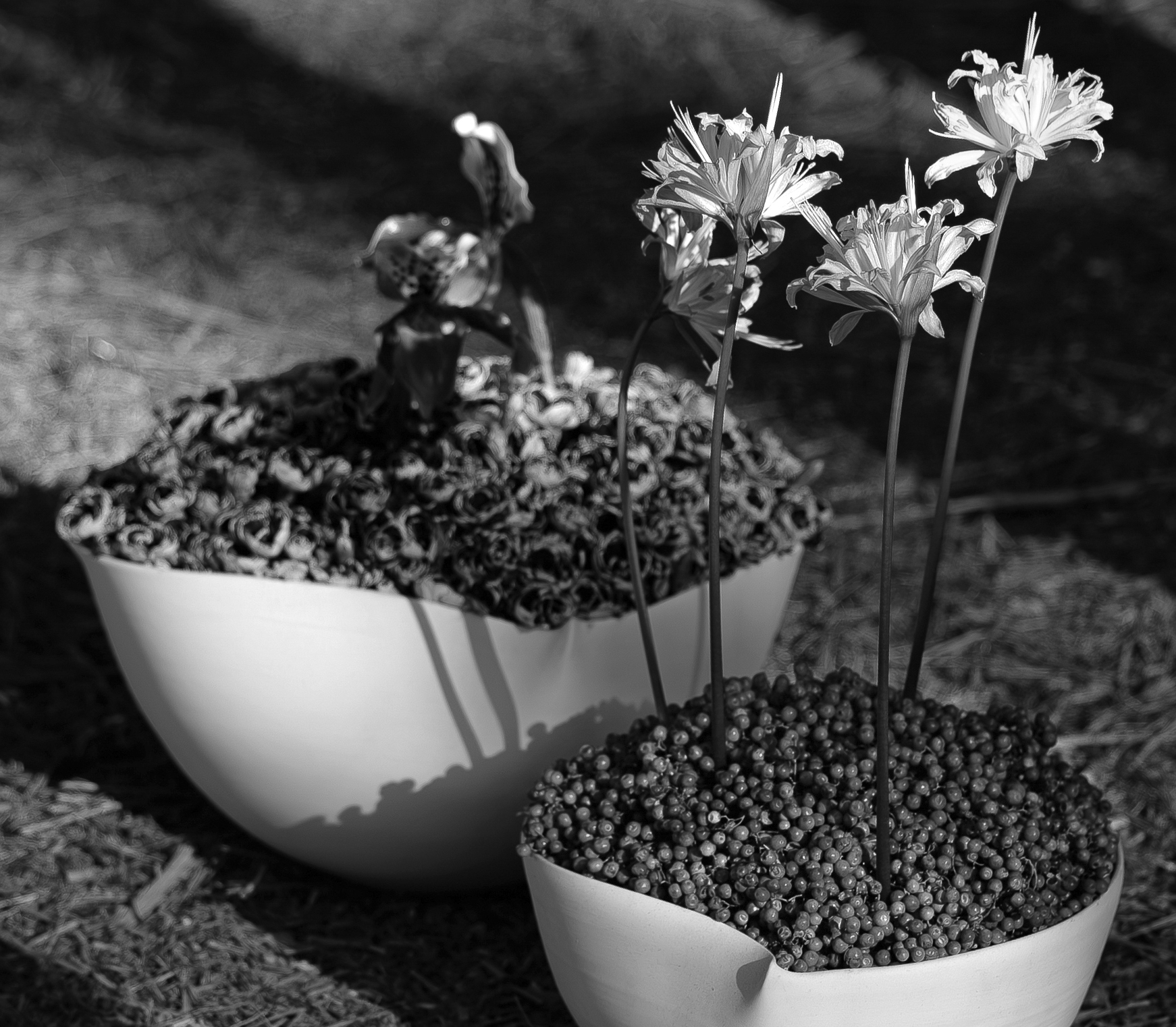 FLOWER BOX｜Nicolai Bergmann