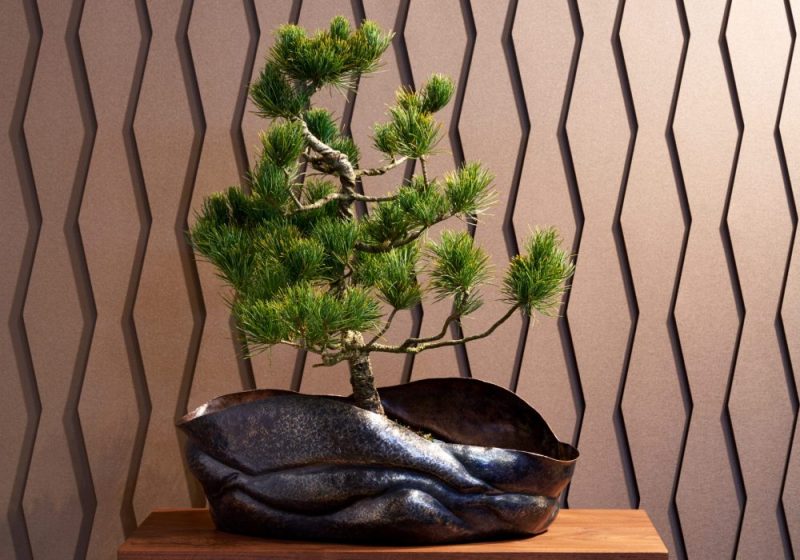 株式会社玉川堂 - 百年物語