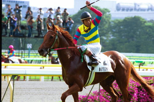 00年ダービー馬アグネスフライトが老衰のため死す、26歳 親子3代で