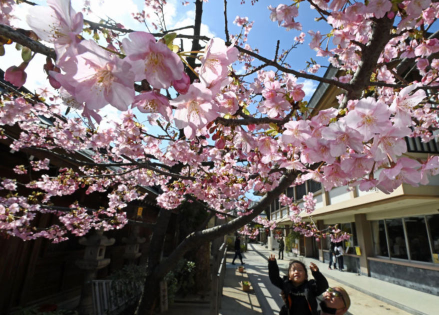 sns_IP230226JAA000077000_0001_