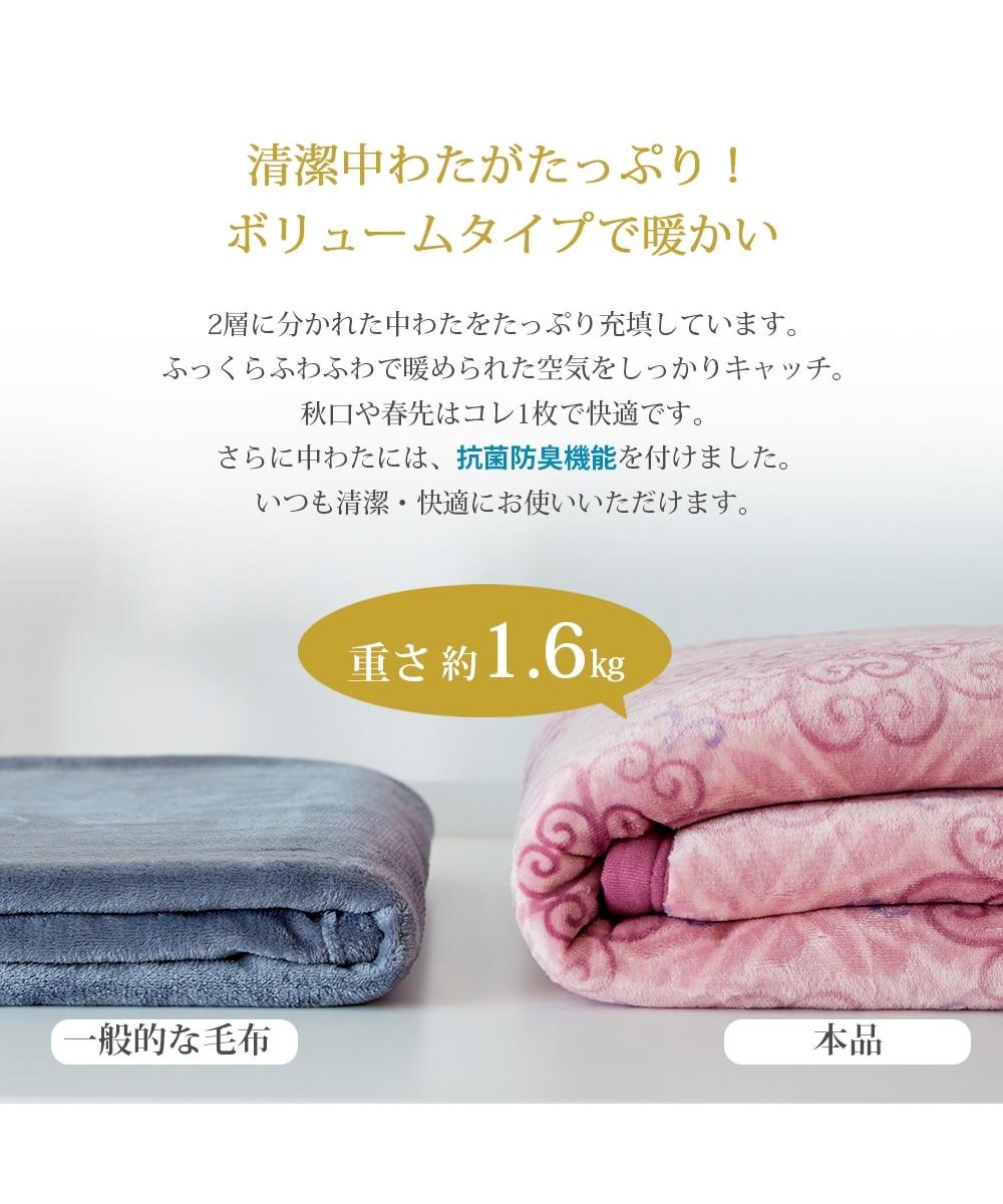 昭和西川】吸湿発熱2枚合わせわた入り毛布（抗菌防臭わた入り