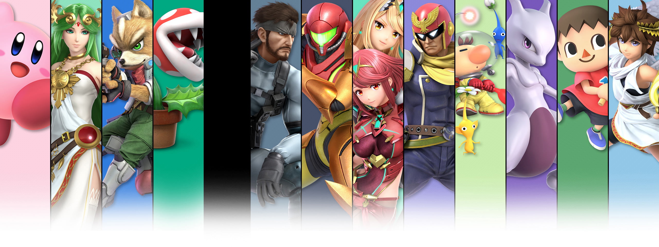 大乱闘スマッシュブラザーズ SPECIAL : ファイター | Nintendo Switch