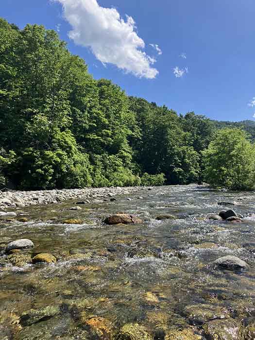 SMITHフィールドレポート