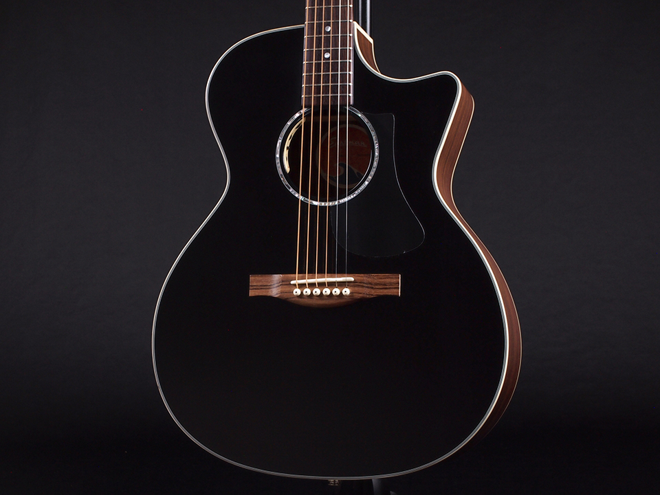 Eastman PCH2-GACE-BK ソニックス特価 ￥73,700- 新品 価格を超えた高