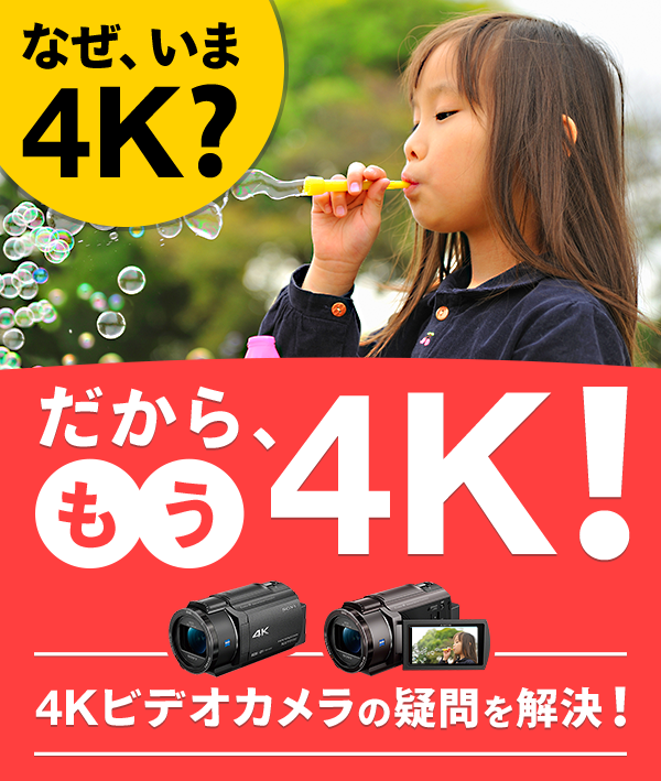 なぜ、いま4K?だから、もう4K！ | デジタルビデオカメラ Handycam