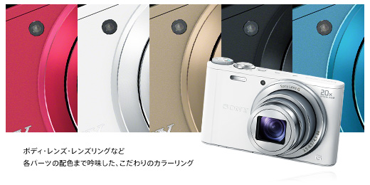 DSC-WX300 特長 : デザイン＆アクセサリー | デジタルスチルカメラ