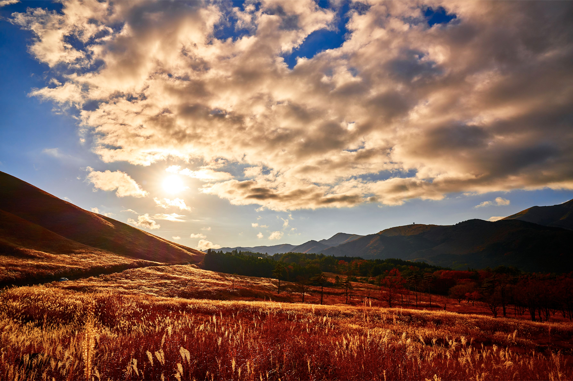 3分でわかるαレンズのヒミツ FE 24mm F1.4 GM 編 | ソニー