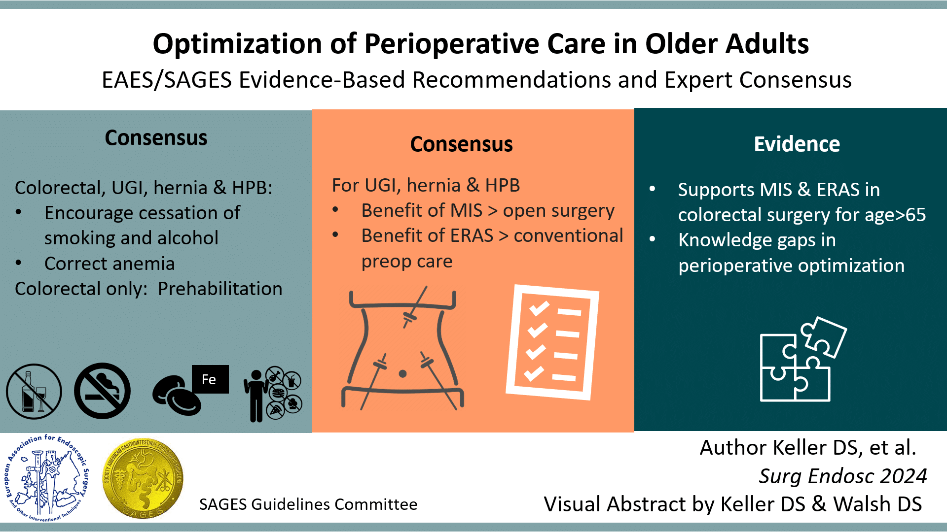 EAES/SAGES Evidence-Based Recommendations and Expert Consensus on