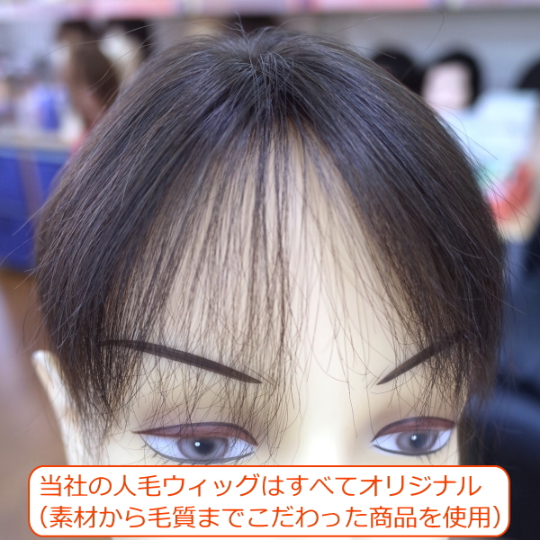人毛部分ウィッグ女性用ヘアピース Sサイズ ナチュラルストレート 特殊