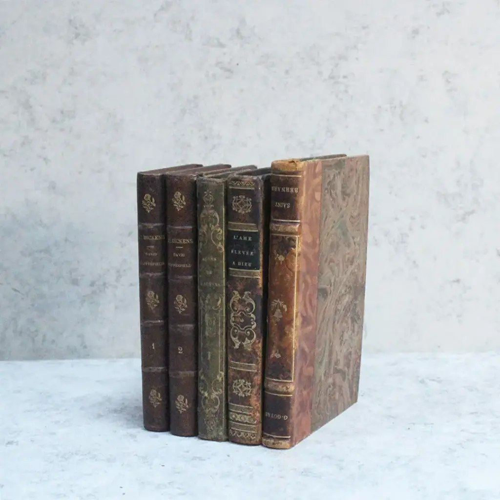 アンティークブックⅣ 古書 フランス 革背表紙 | 雑貨とアンティークの