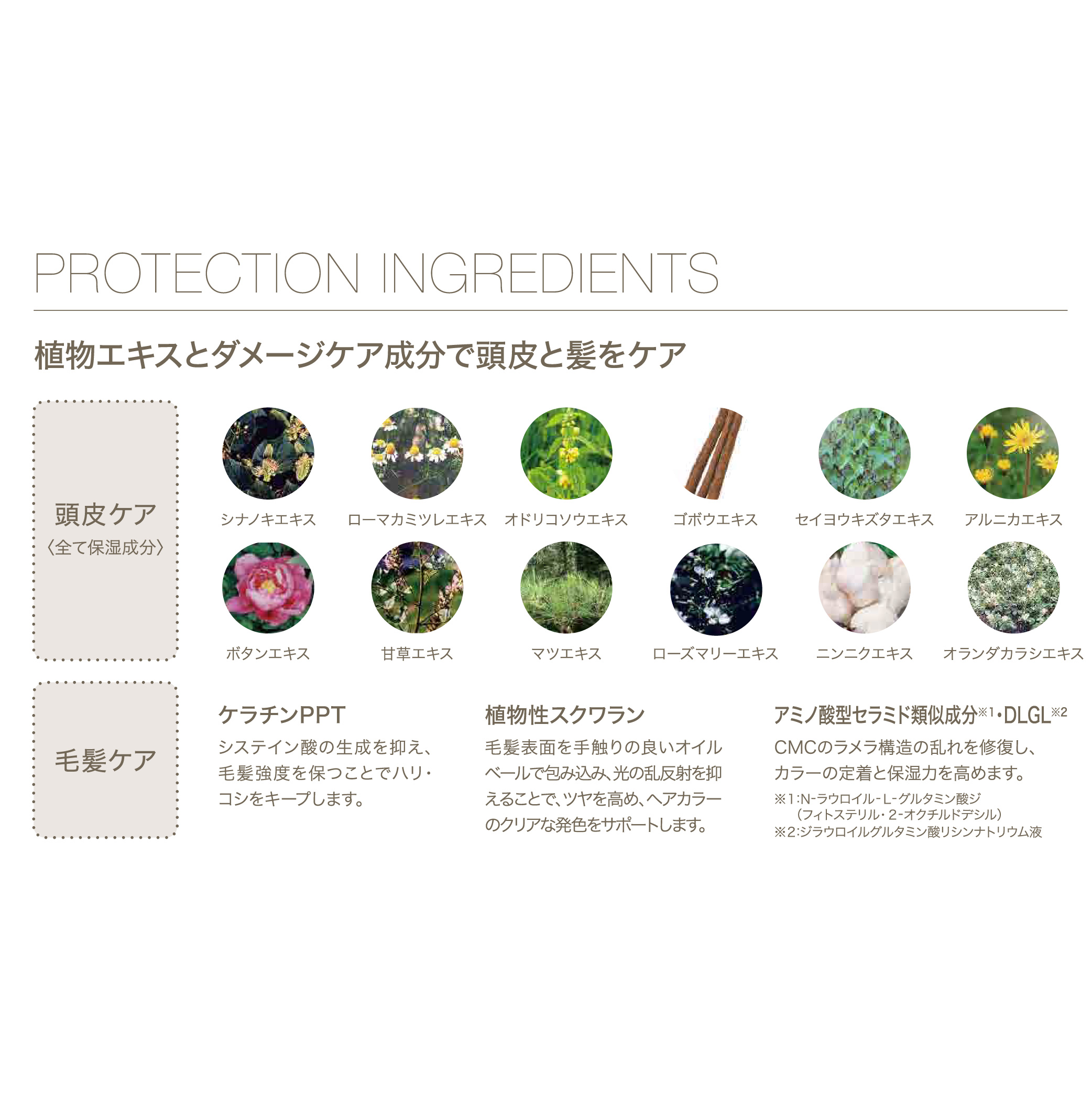 フィヨーレ BLカラー ラディーチェ クイック 120g | サロンサプリ