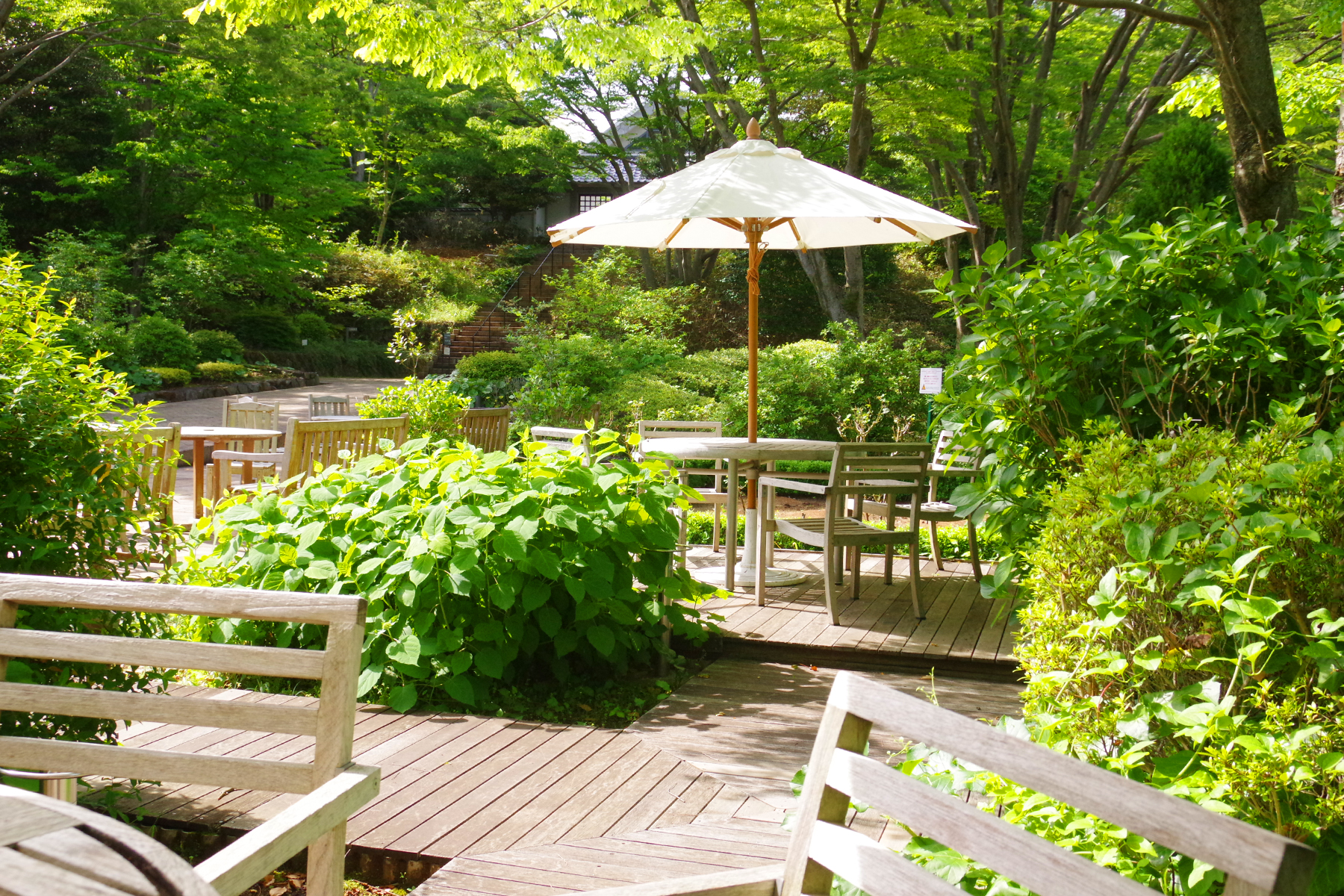 ART】小さなデザイン 駒形克己 展｜hanauta｜こまものと北欧家具の店