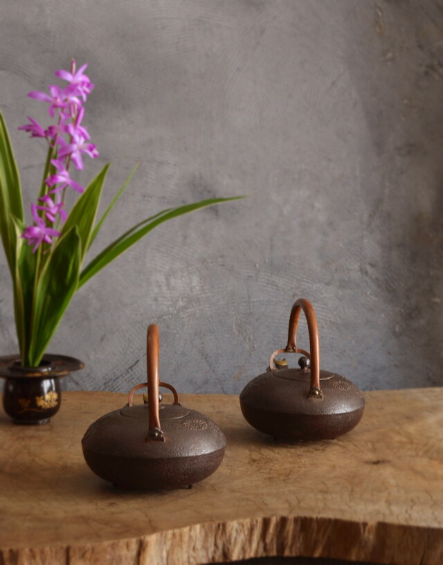 鉄銚子一対 酒器 定泉作 水注 水次 ちろり 鉄瓶 急須 在
