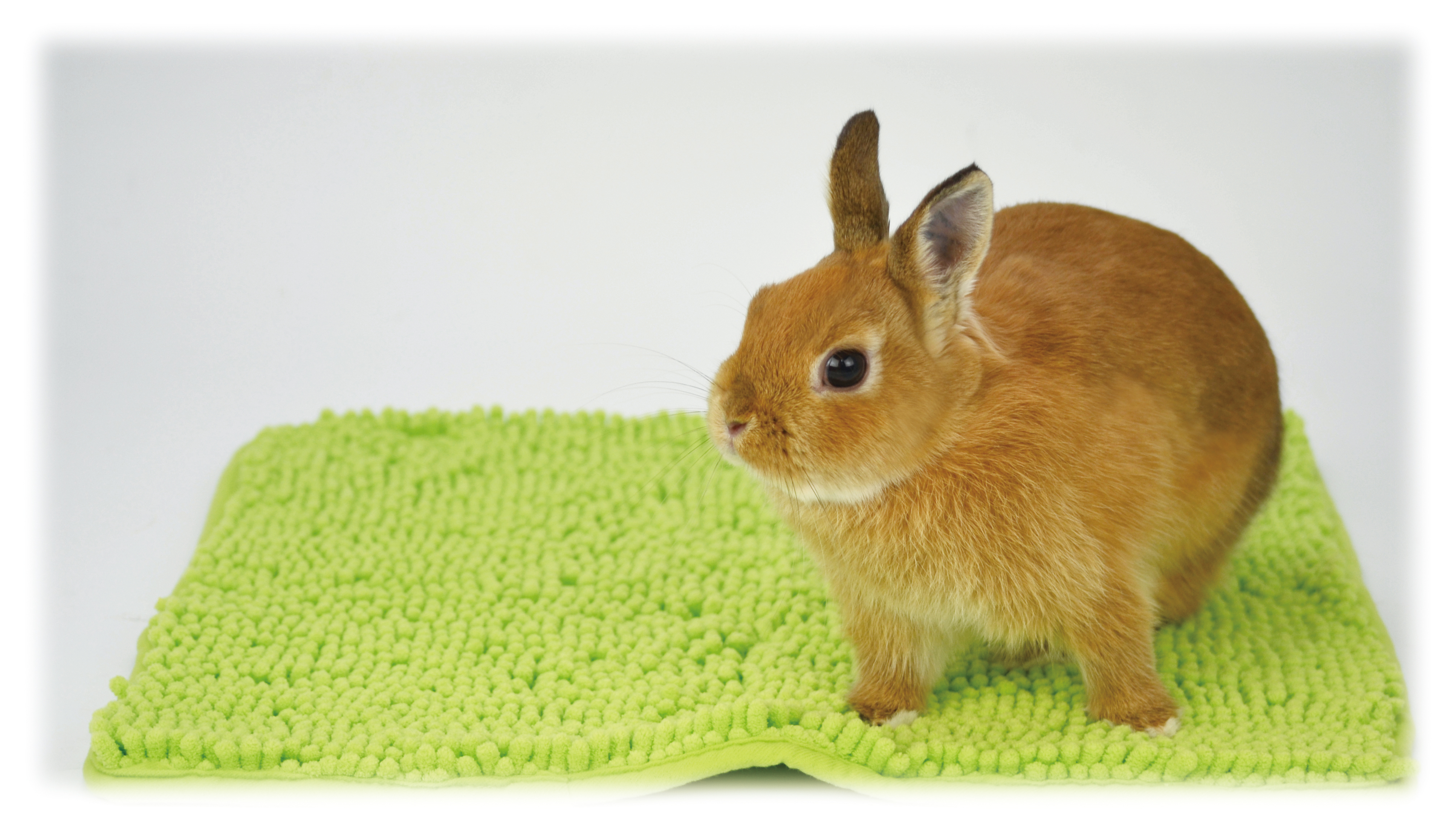 三晃商会WEBページ