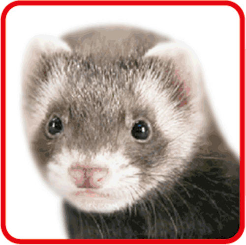 三晃商会WEBページ