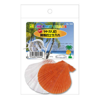 オカヤドカリの 貝殻のエサ入れ ｜ 株式会社三晃商会