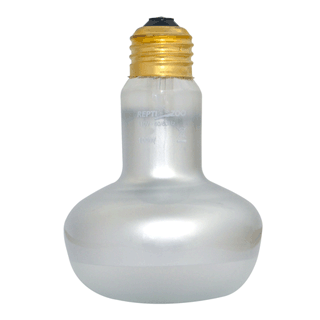 集光型保温バスキング スポットランプ 50W ｜ 株式会社三晃商会