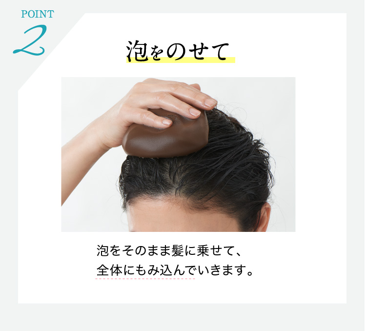 利尻ヘアカラー・無添加化粧品 自然派clubサスティ[白髪用] 利尻炭酸