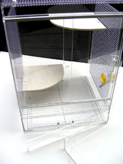 高級アクリルケージ・おすすめレイアウト