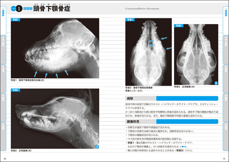 正常画像と比べてわかる犬猫画像診断 | 株式会社誠文堂新光社