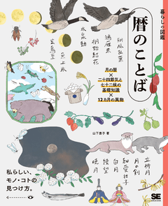 パワーインテグリティのすべて 電源ノイズを抑えるプリント基板設計