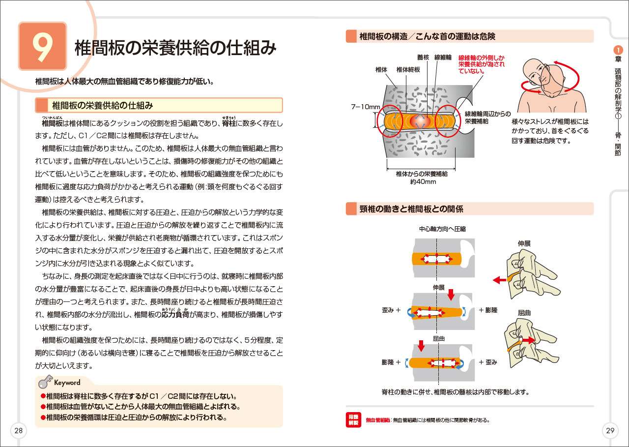 図解入門 臨床で活かせる機能解剖学ナビ 首［頸椎］の動きとケア