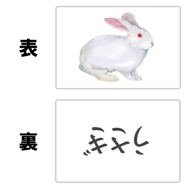 かな絵ちゃん日本語セット＋DVD【フラッシュカード】 | 七田式公式通販