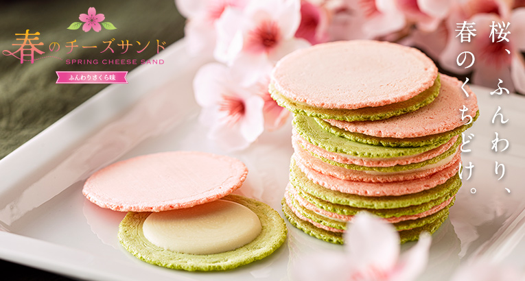 しまひでのバラエティセット 【34袋入】 BE-334 ご家庭用 えびと